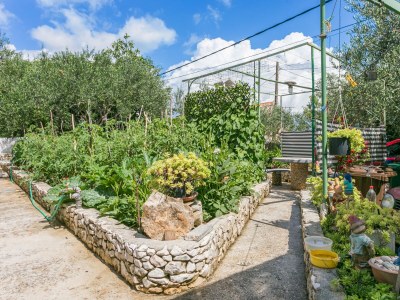 Apartment One bedroom apartment with balcony and sea view Slatine, Čiovo A-6000-b - Outdoor photo 23