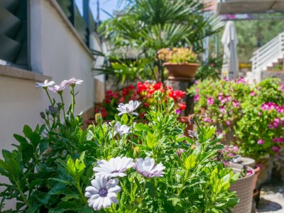 Apartment One bedroom apartment with balcony and sea view Slatine, Čiovo A-6000-b - Outdoor photo 24