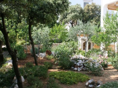 Apartment One bedroom apartment near beach Mandre, Pag A-6518-b - Outdoor photo 7