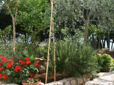 Apartment One bedroom apartment near beach Mandre, Pag A-6518-b - Outdoor photo 21