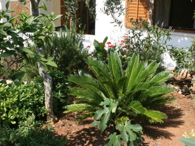 Apartment Two bedroom apartment near beach Mandre, Pag A-6518-d - Outdoor photo 9