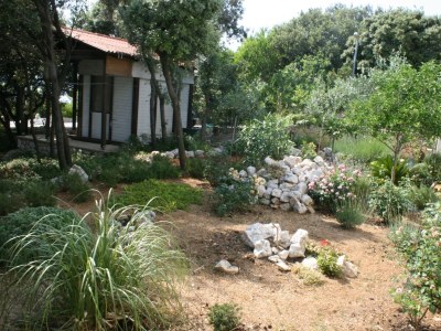 Apartment Studio flat near beach Mandre, Pag AS-6518-a - Outdoor photo 6