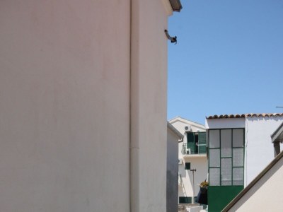 Apartment One bedroom apartment near beach Zaostrog, Makarska A-6659-b - Outdoor photo 14