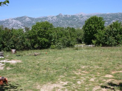 Apartment Apartments with parking space Rovanjska, Paklenica - 6209 - Outdoor photo 12