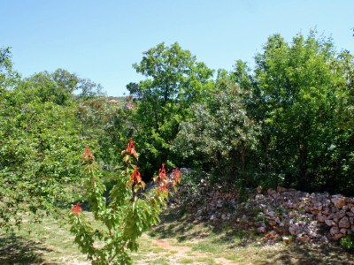 Apartment Apartments with parking space Rovanjska, Paklenica - 6209 - Outdoor photo 22