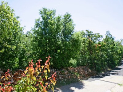 Apartment Apartments with parking space Rovanjska, Paklenica - 6209 - Outdoor photo 23