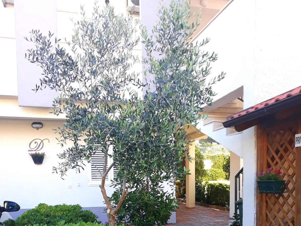 Apartment Studio flat with terrace Baška Voda, Makarska AS-6707-a - Outdoor photo 3