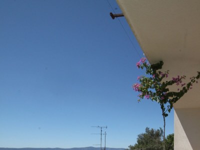 Apartment Two bedroom apartment with terrace and sea view Podgora, Makarska A-6774-a - Outdoor photo 25