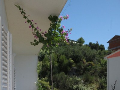 Apartment Two bedroom apartment with terrace and sea view Podgora, Makarska A-6774-a - Outdoor photo 27