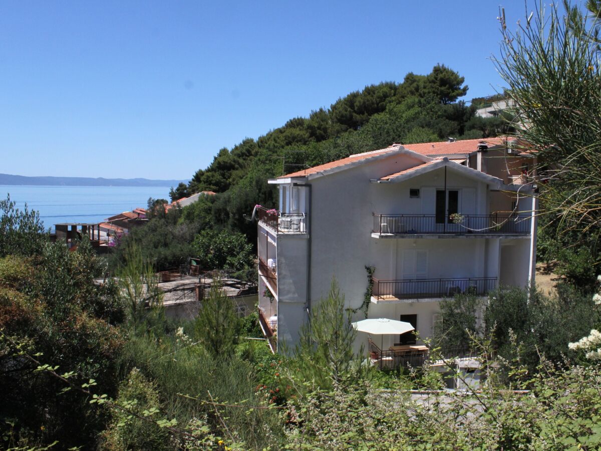 Apartment One bedroom apartment with balcony and sea view Podgora, Makarska A-6774-c