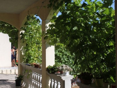 Apartment One bedroom apartment with terrace and sea view Makarska A-6792-b - Outdoor photo 3