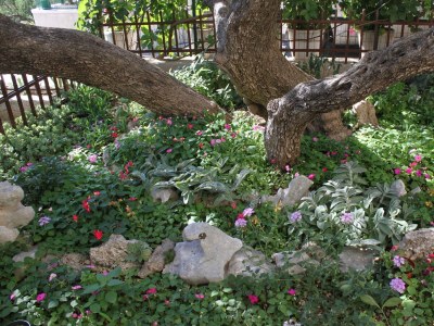 Apartment One bedroom apartment with terrace and sea view Makarska A-6792-b - Outdoor photo 4