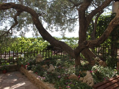 Apartment One bedroom apartment with terrace and sea view Makarska A-6792-b - Outdoor photo 18