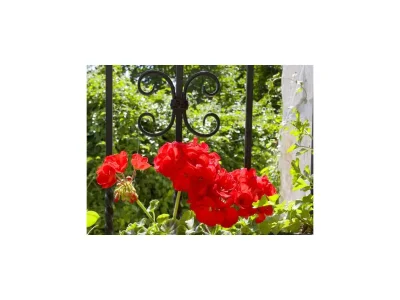 Holiday house Two bedroom house with terrace and sea view Gornji Tučepi - Podpeć, Makarska K-6915 - Outdoor photo 23