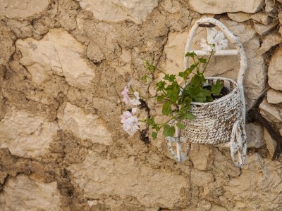 Holiday house Two bedroom house with terrace and sea view Gornji Tučepi - Podpeć, Makarska K-6915 - Outdoor photo 25