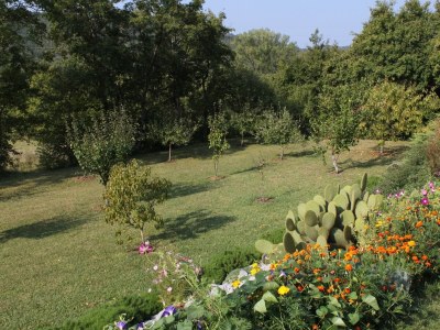 Holiday house Two bedroom house with terrace Rim, Central Istria - Središnja Istra K-7070 - Outdoor photo 16