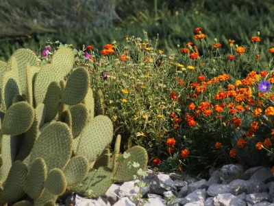 Holiday house Two bedroom house with terrace Rim, Central Istria - Središnja Istra K-7070 - Outdoor photo 20