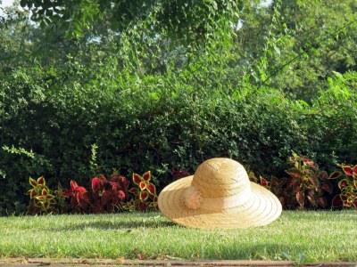 Holiday house Two bedroom house with terrace Rim, Central Istria - Središnja Istra K-7070 - Outdoor photo 23