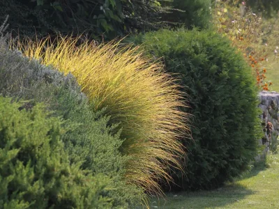 Holiday house Two bedroom house with terrace Rim, Central Istria - Središnja Istra K-7070 - Outdoor photo 24