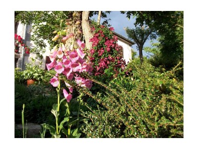 Holiday house Two bedroom house with terrace Rim, Central Istria - Središnja Istra K-7070 - Outdoor photo 26