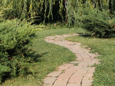 Holiday house Two bedroom house with terrace Rim, Central Istria - Središnja Istra K-7070 - Outdoor photo 27