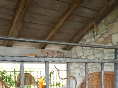 Holiday house Two bedroom house with terrace Rim, Central Istria - Središnja Istra K-7070 - Outdoor photo 58