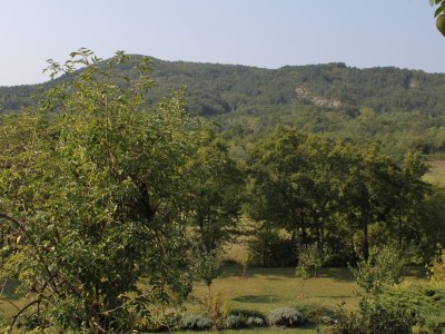 Holiday house Two bedroom house with terrace Rim, Central Istria - Središnja Istra K-7070 - Outdoor photo 61