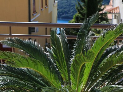 Apartment Apartments with parking space Rabac, Labin - 7429 - Outdoor photo 23