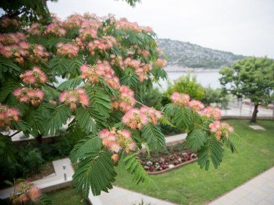 Apartment Apartments by the sea Ražanj, Rogoznica - 7484 - Apartments by the sea Ražanj, Rogoznica - 7484 - Outdoor photo 16