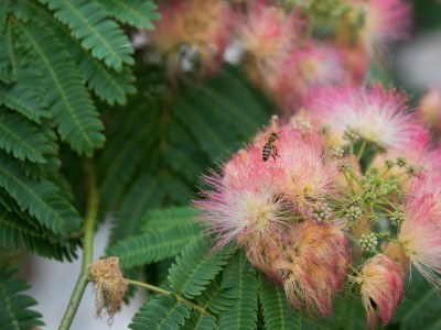 Apartment Apartments by the sea Ražanj, Rogoznica - 7484 - Apartments by the sea Ražanj, Rogoznica - 7484 - Outdoor photo 20