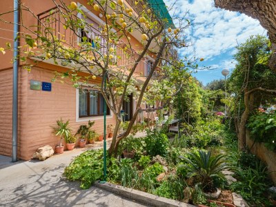 Apartment Two bedroom apartment with terrace Mali Lošinj, Lošinj A-7972-a - Outdoor photo 2