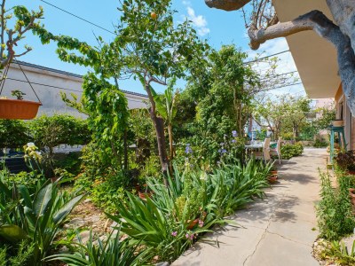 Apartment Two bedroom apartment with terrace Mali Lošinj, Lošinj A-7972-a - Outdoor photo 8