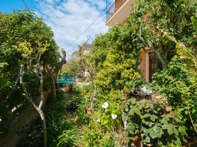 Apartment Two bedroom apartment with terrace Mali Lošinj, Lošinj A-7972-a - Outdoor photo 10