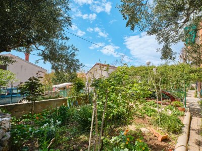 Apartment Two bedroom apartment with terrace Mali Lošinj, Lošinj A-7972-a - Outdoor photo 15