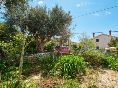 Apartment Two bedroom apartment with terrace Mali Lošinj, Lošinj A-7972-a - Outdoor photo 16