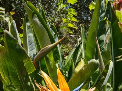Apartment Two bedroom apartment with terrace Mali Lošinj, Lošinj A-7972-a - Outdoor photo 18