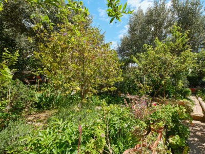 Apartment Two bedroom apartment with terrace Mali Lošinj, Lošinj A-7972-a - Outdoor photo 19