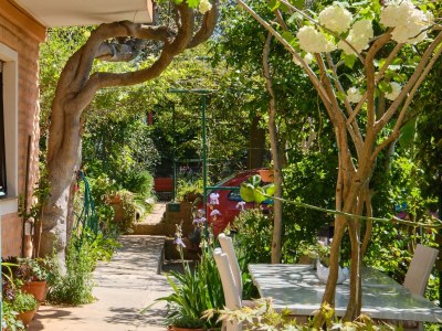 Apartment Two bedroom apartment with terrace Mali Lošinj, Lošinj A-7972-a - Outdoor photo 41