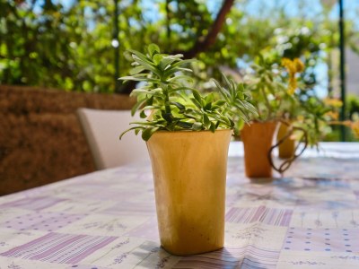 Apartment Two bedroom apartment with terrace Mali Lošinj, Lošinj A-7972-a - Outdoor photo 45