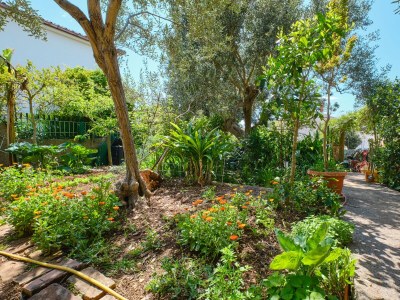 Apartment Two bedroom apartment with terrace Mali Lošinj, Lošinj A-7972-a - Outdoor photo 46