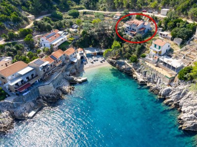 Apartment One bedroom apartment with terrace and sea view Cove Pobij, Hvar A-7506-c in Gdinj - Apartment