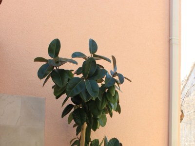 Apartment One bedroom apartment with terrace and sea view Pisak, Omiš A-7521-d - Outdoor photo 10