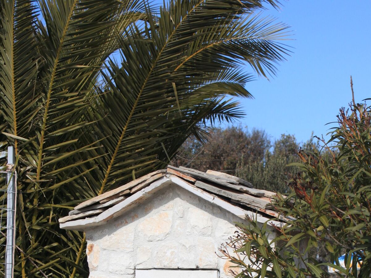 Apartment Three bedroom apartment with terrace Rogoznica A-7541-a - Outdoor photo 5