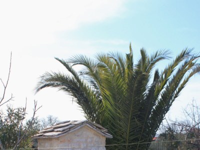 Apartment Three bedroom apartment with terrace Rogoznica A-7541-a - Outdoor photo 6