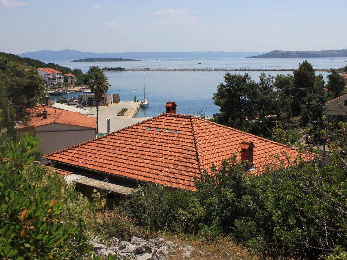 Apartment Four-bedroom apartment with terrace and sea view Zaglav, Dugi otok A-8146-a