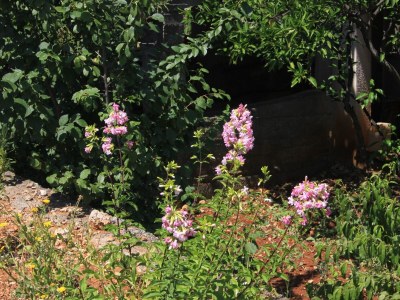 Apartment Four-bedroom apartment with terrace and sea view Zaglav, Dugi otok A-8146-a - Outdoor photo 6