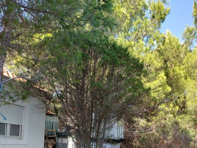 Holiday house Two bedroom house near beach Krknata, Dugi otok K-8150 - Outdoor photo 10
