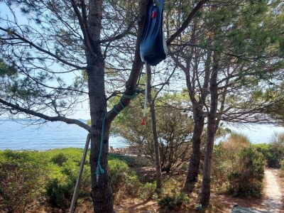 Holiday house Two bedroom house near beach Krknata, Dugi otok K-8150 - Outdoor photo 11