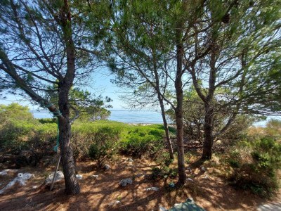 Holiday house Two bedroom house near beach Krknata, Dugi otok K-8150 - Outdoor photo 25