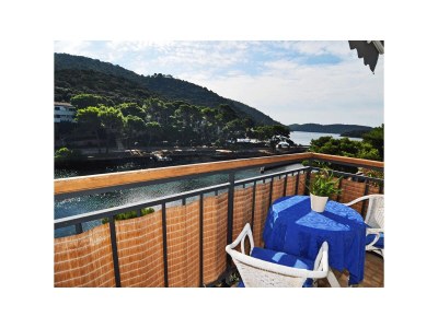 Apartment Studio flat with balcony and sea view Pasadur, Lastovo AS-8351-a in Lastovo - Apartment